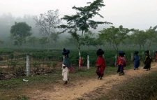 দেশের সর্বনিম্ন তাপমাত্রা শ্রীমঙ্গলে