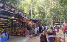 মৌলভীবাজারের লাউয়াছড়া সংরক্ষিত বনে অবৈধভাবে দোকান কোঠা নির্মান