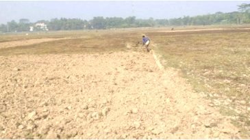 মৌলভীবাজারের বোরো আবাদ বিঘ্নিত হওয়ার আশঙ্কা কৃষকেরা