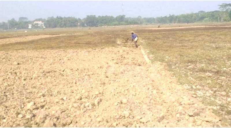 মৌলভীবাজারের বোরো আবাদ বিঘ্নিত হওয়ার আশঙ্কা কৃষকেরা