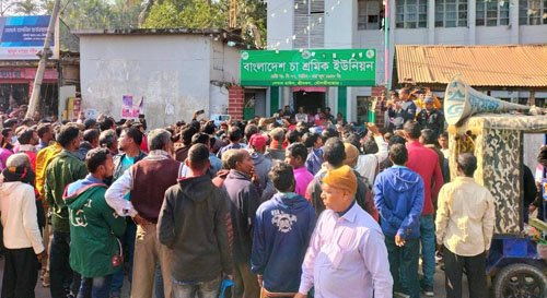 সাধারণ শ্রমিকদের চা শ্রমিক ইউনিয়নের কার্যালয় ঘেরাও