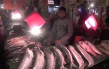 শ্রীমঙ্গলে পৌষ সংক্রান্তি উপলক্ষে ঐতিহ্যবাহী মাছের মেলা