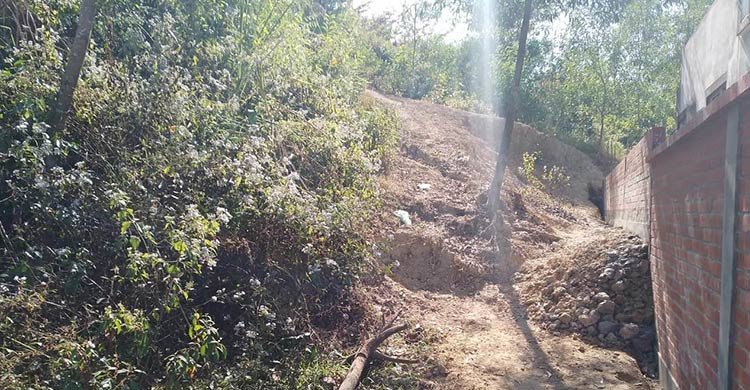 মহামান্য উচ্চ আদালত টিলা কাটা নিষিদ্ধ করে সংরক্ষণ করতে নির্দেশ সিলেটে টিলা কেটে সমতল ভূমি তৈরি করছে সেলিনা-মোমেন ফাউন্ডেশন