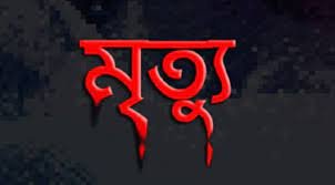 মাইক্রো চাপায় ছেলে নিহত, তিনদিন পর আহত মায়ের মৃত্যু