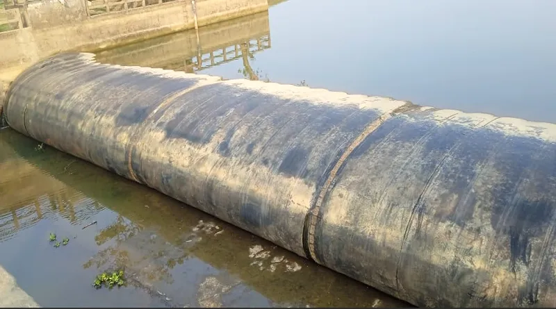 দুষ্কৃতিকারী কতৃক রাবার ড্যামের পানি ছেড়ে দেওয়ায় ক্ষতির সম্মুখীন জলমহাল ইজারাদার ও বোরো চাষীরা।