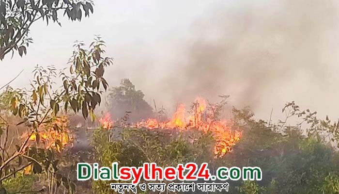 শাবিপ্রবির টিলায় ফের আগুন