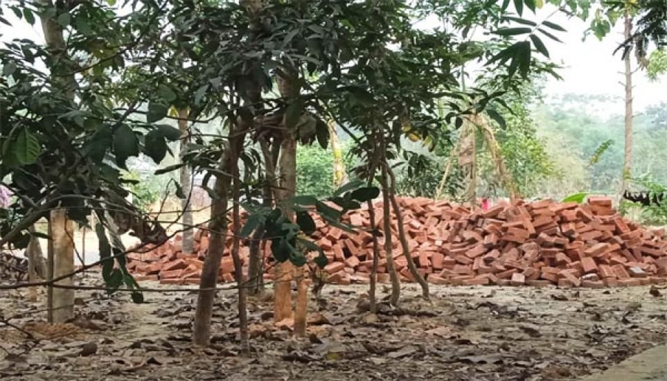 প্রবাসীর ভূমি দখলের চেষ্টা, স্থিতাবস্থা জারির নির্দেশ