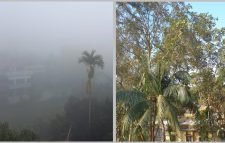 মৌলভীবাজার রাতে ঠান্ডা দিনে গরম, হাসপাতালে বাড়ছে রোগী