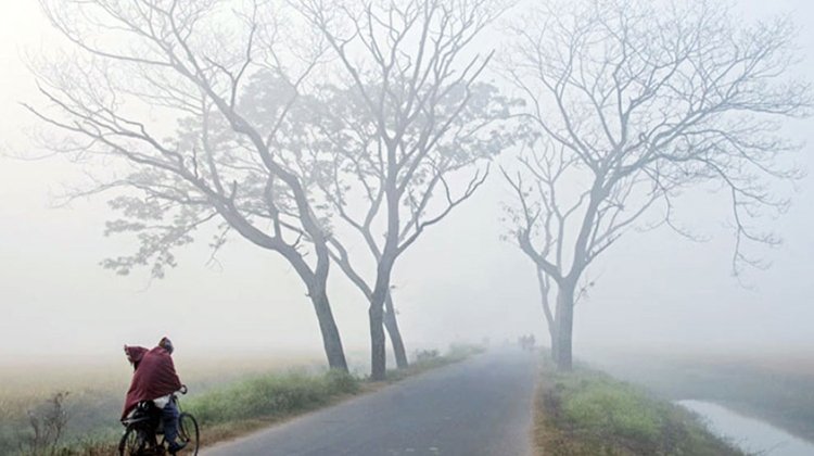 শ্রীমঙ্গলে দেশের সর্বনিম্ন তাপমাত্রা উঠানামা করছে