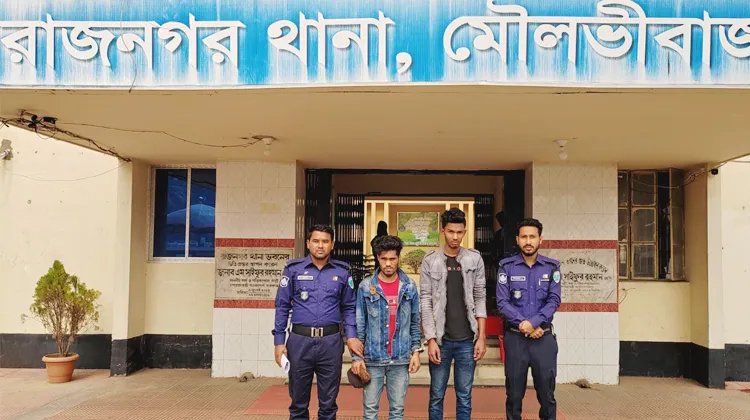 রাজনগরে ইয়াবাসহ মাদক কারবারী আটক