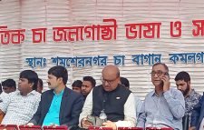 প্রথমবারের মতো আন্তর্জাতিক চা জনগোষ্ঠী ভাষা ও সংস্কৃতি উৎসব