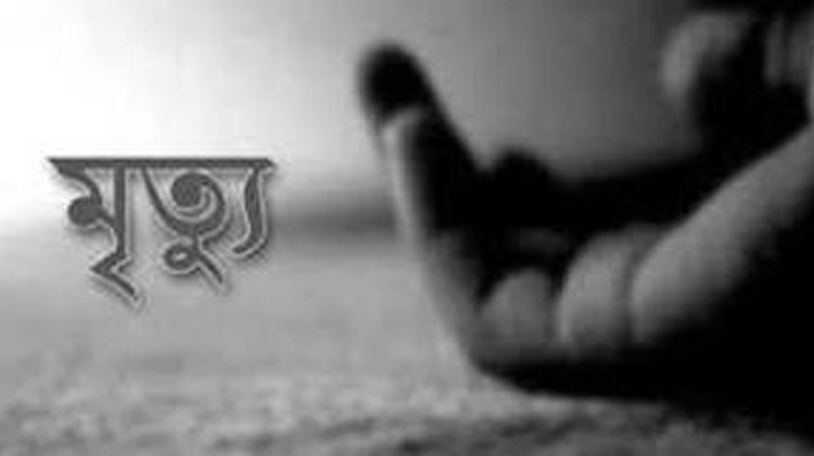 সড়ক দুর্ঘটনায় ফেরিওয়ালার মৃত্যু