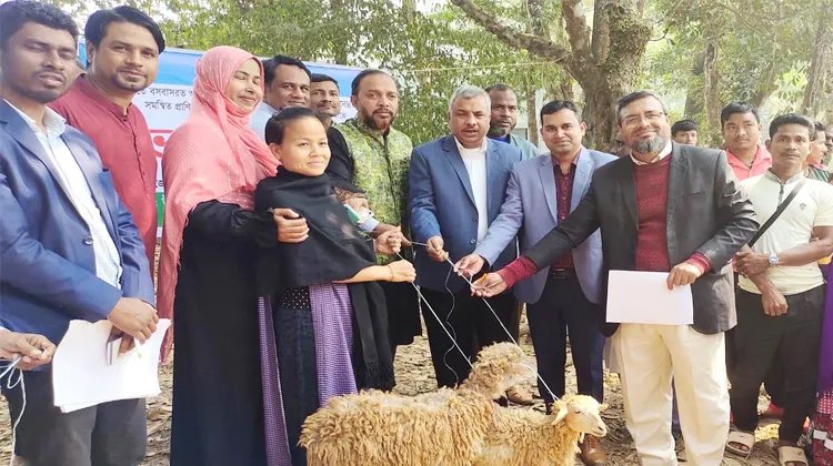 বড়লেখায় সমতলের ক্ষুদ্র নৃ-গোষ্ঠীর অস্বচ্ছলদের মাঝে ভেড়া বিতরণ