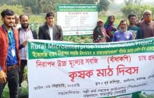 কমলগঞ্জে নিরাপদ সবজির মাঠ দিবস অনুষ্ঠিত