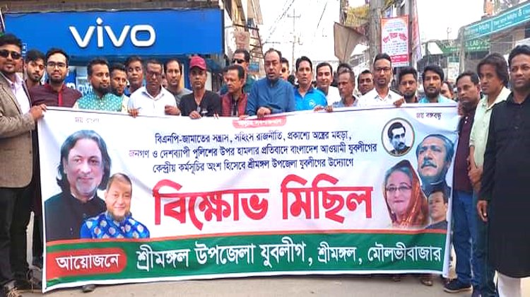 যুবলীগের উদ্যোগে  বিক্ষোভ মিছিল