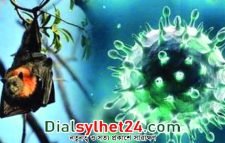 ২২ বছরে নিপাহ ভাইরাস শনাক্ত হয়েছে দেশের ৩২ জেলায়