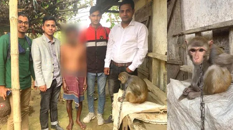জুড়ীতে বানর উদ্ধার করলেন স্বেচ্ছাসেবী সংগঠনের সদস্যরা