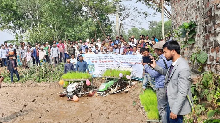 মৌলভীবাজারে যন্ত্রের ব্যবহারে সমলয় চাষাবাদের উদ্বোধন