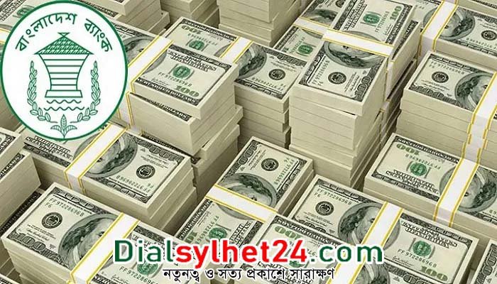রেমিট্যান্স: ১৭ দিনে এসেছে ১০৫ কোটি ডলার