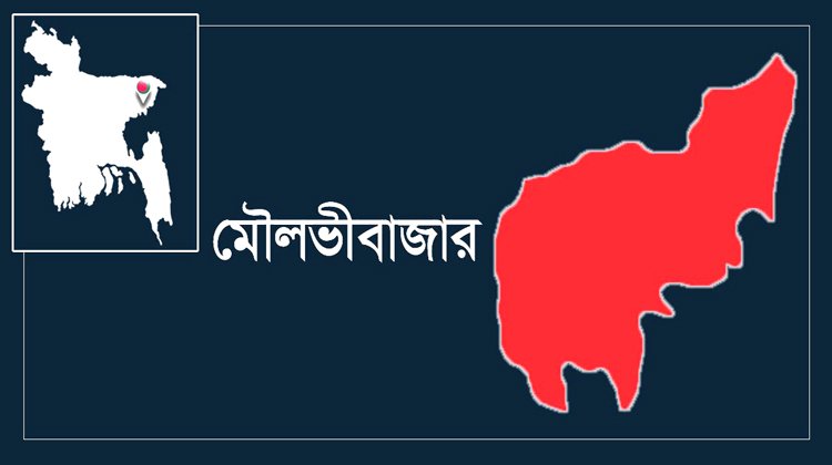 কমলগঞ্জে অবৈধ শ্যালোর দাপটে বাসা-বাড়িতে পানি সংকট!
