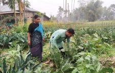 বিষমুক্ত সবজি চাষ করেন শিক্ষক শান্তু মনি সিংহ
