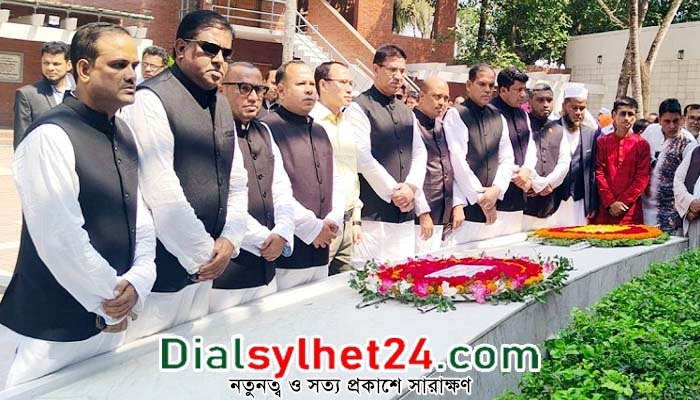 বঙ্গবন্ধুর স্বপ্নপূরণের লক্ষ্যে কাজ করতে হবে : নাসির