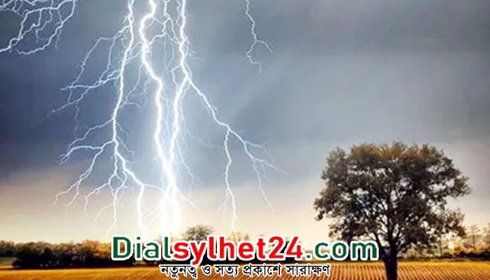 হাওরে আতঙ্কের আরেক নাম ‘বজ্রপাত’