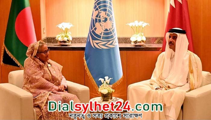 ক্রমবর্ধমান জ্বালানি চাহিদা মেটাতে বাংলাদেশের পাশে থাকবে কাতার