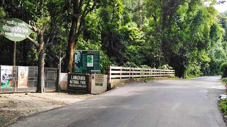 লাউয়াছড়ায় এক বছরেও হয়নি সড়কে যানবাহনের গতি নিয়ন্ত্রণ