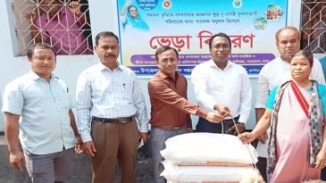 প্রধানমন্ত্রীর উপহার ‘ভেড়া’ পেলেন ১০৯ ক্ষুদ্র নৃ-গোষ্ঠী পরিবার