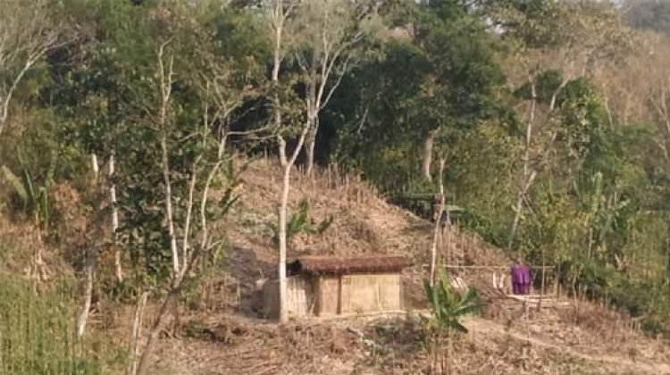 অবৈধভাবে চা বাগানের ভূমি দখলের চেষ্টা, শ্রমিকদের হুমকি-ধমকির অভিযোগ