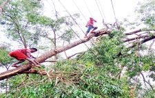 কাল বৈশাখিতে কমলগঞ্জে ২০টি ঘর সম্পূর্ণ ও আংশিক অর্ধশতাধিক ঘর বিধ্বস্ত