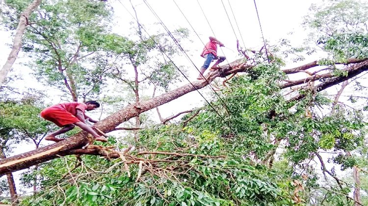 কাল বৈশাখিতে কমলগঞ্জে ২০টি ঘর সম্পূর্ণ ও আংশিক অর্ধশতাধিক ঘর বিধ্বস্ত