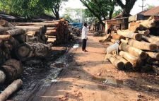 জুড়ীতে সড়ক দখল করে কাঠের ব্যবসা