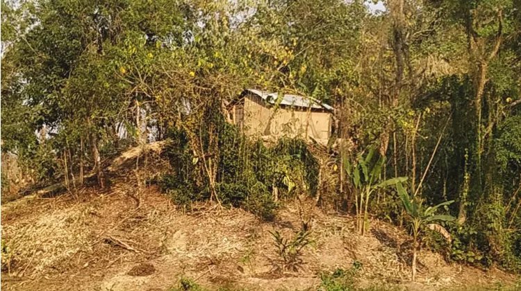 স্কয়ার গ্রুপের চা বাগানের সাড়ে ৫শ’ একর ভূমি দখল অপচেষ্টার অভিযোগ