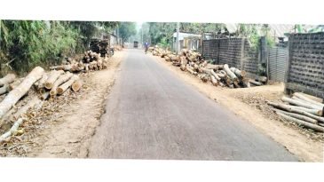 কুলাউড়ায় সরকারি নিয়ম না মেনে ছড়াছড়ি অবৈধ করাত কলের