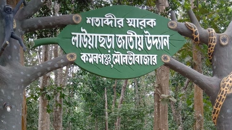 ভালো নেই লাউয়াছড়া জাতীয় উদ্যানে খাবার পানি ও আবাসস্থল সংকটে হুমকির মুখে ৫ শতাধিক জাতের বন্যপ্রাণী