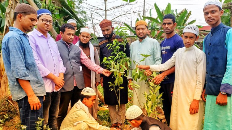 বড়লেখায় বঙ্গবন্ধুর জন্ম বার্ষিকীতে নিসচা’র বৃক্ষরোপণ