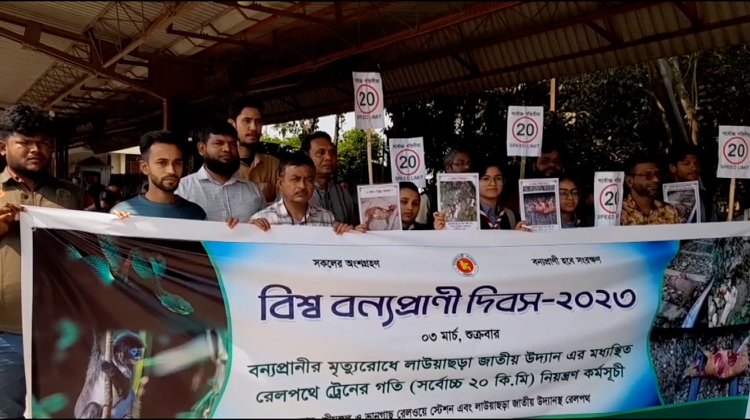  লাউয়াছড়া জাতীয় উদ্যানে বন্যপ্রানীর মৃত্যুরোধে রেলপথে ট্রেনের গতি সর্বোচ্চ ২০ কি.মি নিয়ন্ত্রণ কর্মসূচি পালিত
