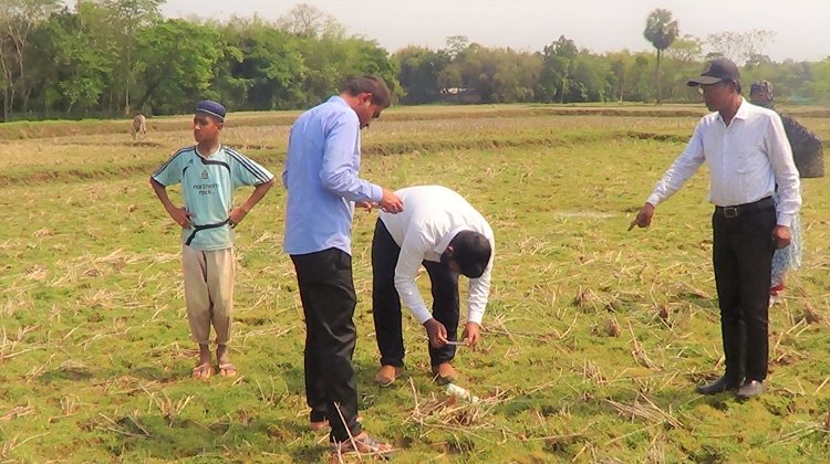 মৌলভীবাজারের শকুনের ১৩টি মরদেহ উদ্ধারের ঘটনায় মামলা