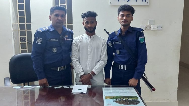 চোরাই গরু ও ইয়াবাসহ একজন আটক