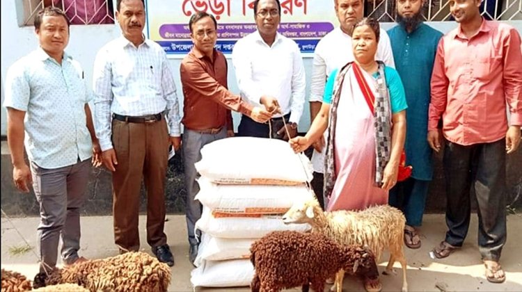 কুলাউড়ায় ক্ষুদ্র নৃ-গোষ্ঠীর ১০৯ পরিবার ২১৮টি ‘ভেড়া’ উপহার পেল