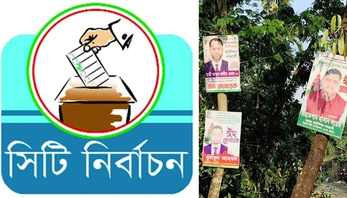 সিদ্ধান্তহীনতায় বিএনপির কাউন্সিলররা