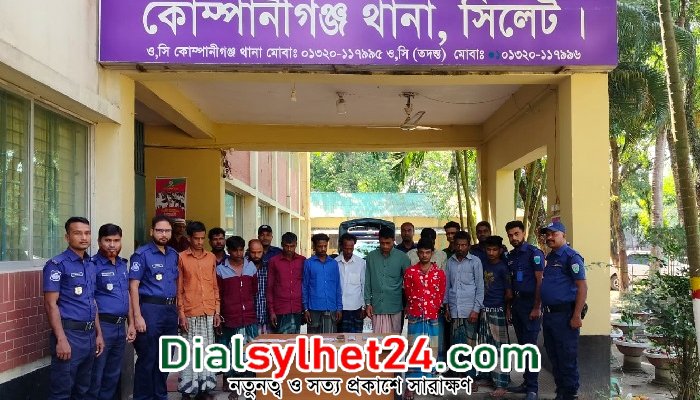 কোম্পানীগঞ্জে ১২ জুয়াড়ি গ্রেপ্তার