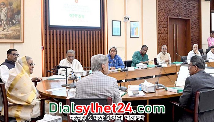 হাওরে উড়াল সড়ক করতে হবে : প্রধানমন্ত্রী