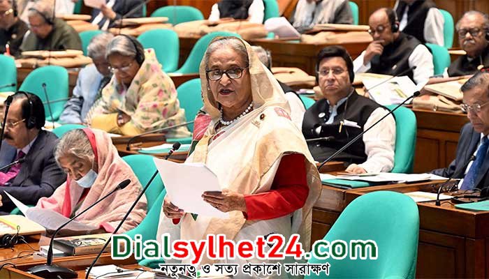 দেশে ব্যাপক উন্নয়নের পেছনে রয়েছে স্থিতিশীল সংসদীয় গণতন্ত্রের অবদান : প্রধানমন্ত্রী