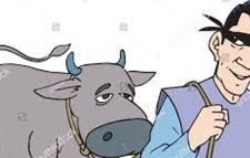 কমলগঞ্জে ৩ গরুচোর আটক