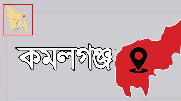 কমলগঞ্জে হিট স্টোকে দুই চা শ্রমিকের মৃত্যু, আক্রান্ত অনেক