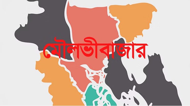 গরুতে ধান খাওয়া নিয়ে কান ‘কাটা পড়ল’ বৃদ্ধের