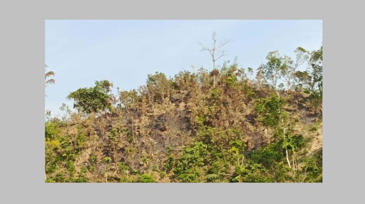 বড়লেখায় আবারও বনে আগুন